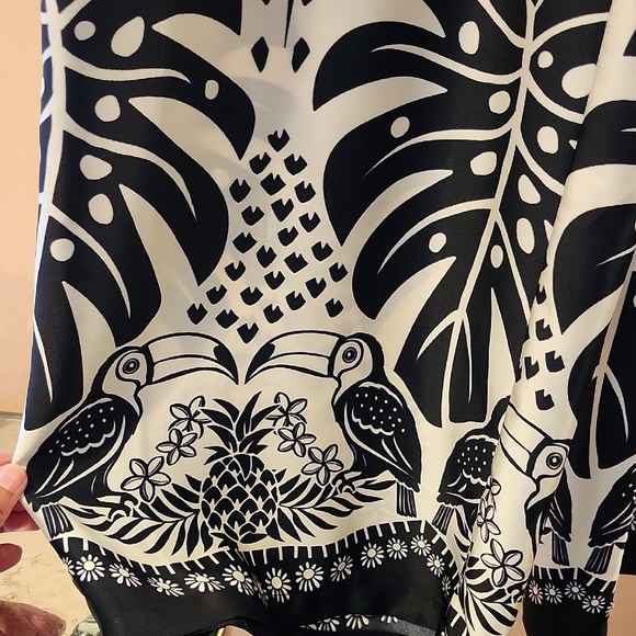 Rachel Zoe Elegant Silky Pants - Picture 3 of 6